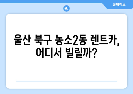 울산시 북구 농소2동 렌트카 가격비교 | 리스 | 장기대여 | 1일비용 | 비용 | 소카 | 중고 | 신차 | 1박2일 2024후기