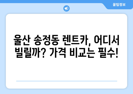 울산시 북구 송정동 렌트카 가격비교 | 리스 | 장기대여 | 1일비용 | 비용 | 소카 | 중고 | 신차 | 1박2일 2024후기