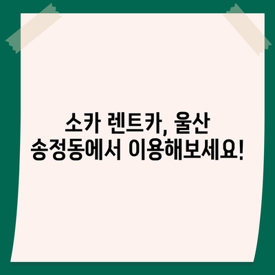 울산시 북구 송정동 렌트카 가격비교 | 리스 | 장기대여 | 1일비용 | 비용 | 소카 | 중고 | 신차 | 1박2일 2024후기