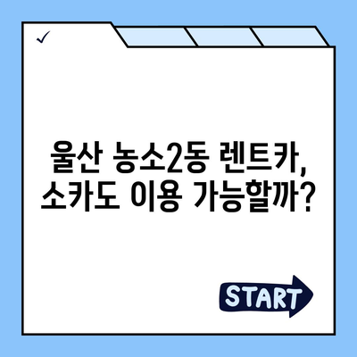 울산시 북구 농소2동 렌트카 가격비교 | 리스 | 장기대여 | 1일비용 | 비용 | 소카 | 중고 | 신차 | 1박2일 2024후기