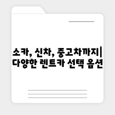 대구시 동구 신천1·2동 렌트카 가격비교 | 리스 | 장기대여 | 1일비용 | 비용 | 소카 | 중고 | 신차 | 1박2일 2024후기