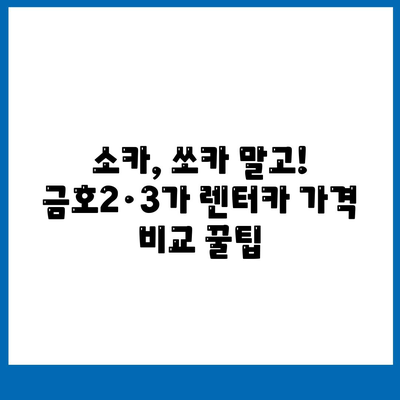 서울시 성동구 금호2·3가동 렌트카 가격비교 | 리스 | 장기대여 | 1일비용 | 비용 | 소카 | 중고 | 신차 | 1박2일 2024후기