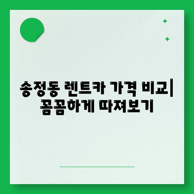 경기도 광주시 송정동 렌트카 가격비교 | 리스 | 장기대여 | 1일비용 | 비용 | 소카 | 중고 | 신차 | 1박2일 2024후기