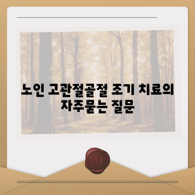 노인 고관절골절 조기 치료