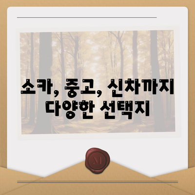 서울시 중랑구 묵제2동 렌트카 가격비교 | 리스 | 장기대여 | 1일비용 | 비용 | 소카 | 중고 | 신차 | 1박2일 2024후기