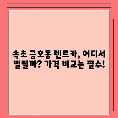 강원도 속초시 금호동 렌트카 가격비교 | 리스 | 장기대여 | 1일비용 | 비용 | 소카 | 중고 | 신차 | 1박2일 2024후기