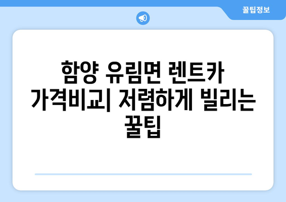 경상남도 함양군 유림면 렌트카 가격비교 | 리스 | 장기대여 | 1일비용 | 비용 | 소카 | 중고 | 신차 | 1박2일 2024후기