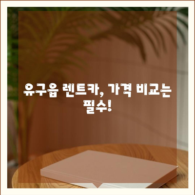 충청남도 공주시 유구읍 렌트카 가격비교 | 리스 | 장기대여 | 1일비용 | 비용 | 소카 | 중고 | 신차 | 1박2일 2024후기