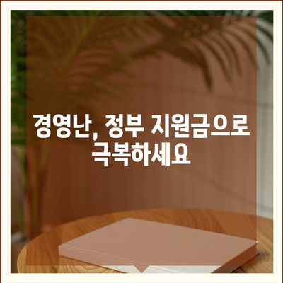 경영위기 극복, 지원금 신청부터 활용까지 완벽 가이드 | 경영난 극복, 기업 지원, 정부 지원금