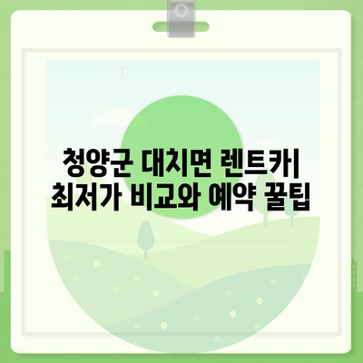 충청남도 청양군 대치면 렌트카 가격비교 | 리스 | 장기대여 | 1일비용 | 비용 | 소카 | 중고 | 신차 | 1박2일 2024후기