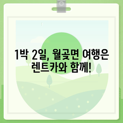 경기도 김포시 월곶면 렌트카 가격비교 | 리스 | 장기대여 | 1일비용 | 비용 | 소카 | 중고 | 신차 | 1박2일 2024후기