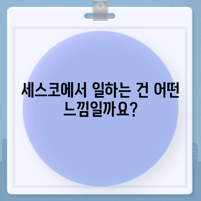 세스코 근무 후기| 현직 직원이 말하는 솔직한 이야기 | 세스코, 근무 환경, 연봉, 꿀팁