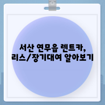 충청남도 서산시 연무읍 렌트카 가격비교 | 리스 | 장기대여 | 1일비용 | 비용 | 소카 | 중고 | 신차 | 1박2일 2024후기