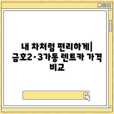 서울시 성동구 금호2·3가동 렌트카 가격비교 | 리스 | 장기대여 | 1일비용 | 비용 | 소카 | 중고 | 신차 | 1박2일 2024후기