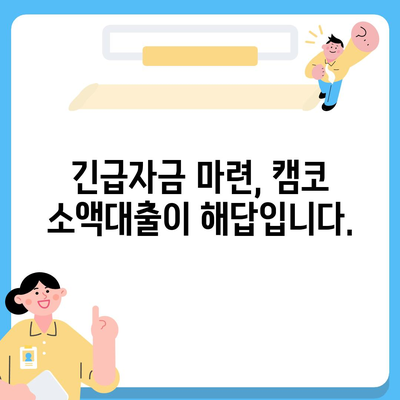 국민행복기금 캠코 소액대출 신청 가이드| 자격 조건, 한도, 금리, 필요 서류 완벽 정리 | 소액대출, 서민금융, 긴급자금, 캠코