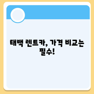 강원도 태백시 삼수동 렌트카 가격비교 | 리스 | 장기대여 | 1일비용 | 비용 | 소카 | 중고 | 신차 | 1박2일 2024후기