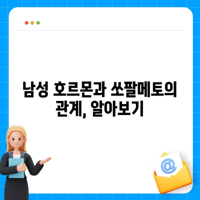 쏘팔메토 효능| 전립선 건강, 탈모, 남성 호르몬 등 종합 분석 | 건강 정보, 남성 건강, 쏘팔메토 효능, 전립선, 탈모