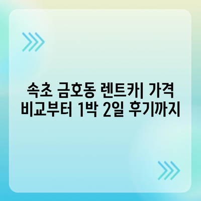 강원도 속초시 금호동 렌트카 가격비교 | 리스 | 장기대여 | 1일비용 | 비용 | 소카 | 중고 | 신차 | 1박2일 2024후기