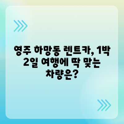 경상북도 영주시 하망동 렌트카 가격비교 | 리스 | 장기대여 | 1일비용 | 비용 | 소카 | 중고 | 신차 | 1박2일 2024후기