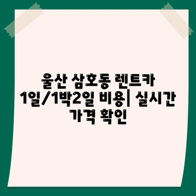 울산시 남구 삼호동 렌트카 가격비교 | 리스 | 장기대여 | 1일비용 | 비용 | 소카 | 중고 | 신차 | 1박2일 2024후기