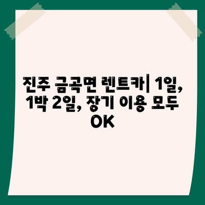 경상남도 진주시 금곡면 렌트카 가격비교 | 리스 | 장기대여 | 1일비용 | 비용 | 소카 | 중고 | 신차 | 1박2일 2024후기