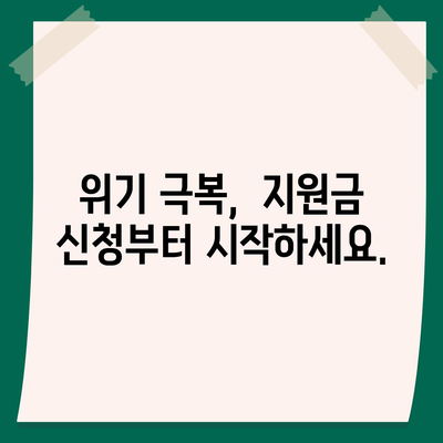 경영위기 극복, 지원금 신청부터 성공 전략까지 |  기업 지원, 재정 지원, 위기 극복 가이드