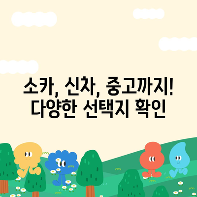 광주시 서구 금호1동 렌트카 가격비교 | 리스 | 장기대여 | 1일비용 | 비용 | 소카 | 중고 | 신차 | 1박2일 2024후기