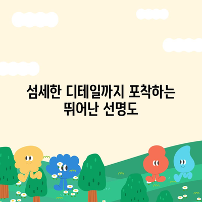 아이폰16 후면 카메라, 새로운 주요 센서로 놀라운 선명도