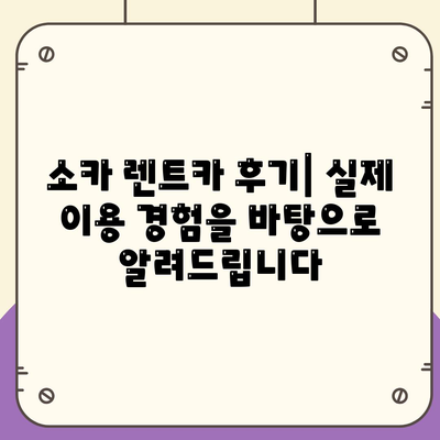 렌트카 가격비교 | 리스 | 장기대여 | 1일비용 | 비용 | 소카 | 중고 | 신차 | 1박2일 2024후기