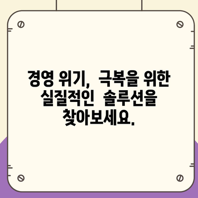 경영위기 극복, 지원금 신청부터 성공 전략까지 |  기업 지원, 재정 지원, 위기 극복 가이드