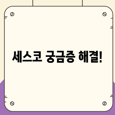 세스코 관련 궁금증, 한 번에 해결! | 세스코 답변 모음, 자주 묻는 질문, 해결 솔루션