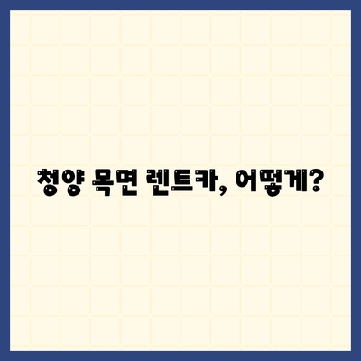 충청남도 청양군 목면 렌트카 가격비교 | 리스 | 장기대여 | 1일비용 | 비용 | 소카 | 중고 | 신차 | 1박2일 2024후기