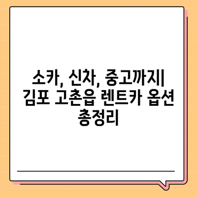 경기도 김포시 고촌읍 렌트카 가격비교 | 리스 | 장기대여 | 1일비용 | 비용 | 소카 | 중고 | 신차 | 1박2일 2024후기