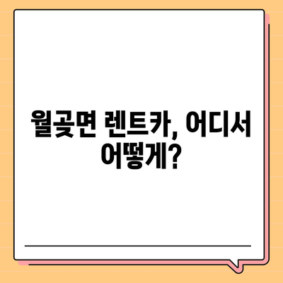 경기도 김포시 월곶면 렌트카 가격비교 | 리스 | 장기대여 | 1일비용 | 비용 | 소카 | 중고 | 신차 | 1박2일 2024후기