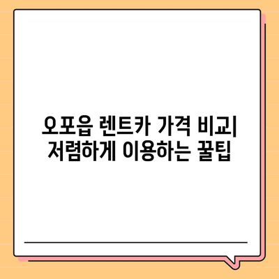 경기도 광주시 오포읍 렌트카 가격비교 | 리스 | 장기대여 | 1일비용 | 비용 | 소카 | 중고 | 신차 | 1박2일 2024후기