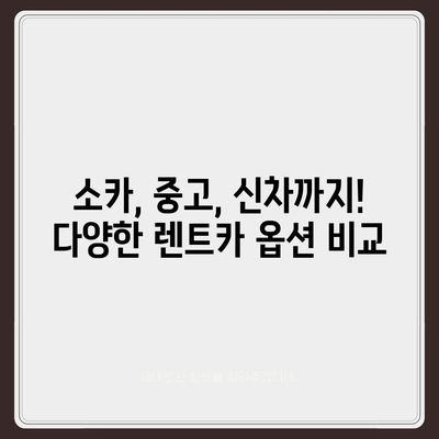 강원도 원주시 신림면 렌트카 가격비교 | 리스 | 장기대여 | 1일비용 | 비용 | 소카 | 중고 | 신차 | 1박2일 2024후기