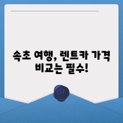 강원도 속초시 금호동 렌트카 가격비교 | 리스 | 장기대여 | 1일비용 | 비용 | 소카 | 중고 | 신차 | 1박2일 2024후기