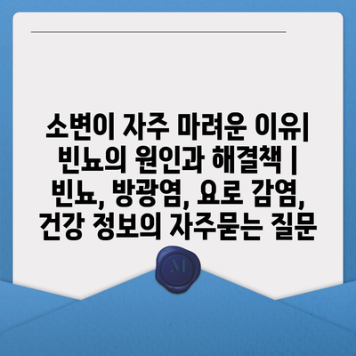 소변이 자주 마려운 이유| 빈뇨의 원인과 해결책 | 빈뇨, 방광염, 요로 감염, 건강 정보