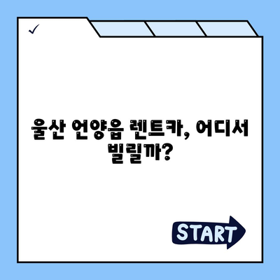 울산시 울주군 언양읍 렌트카 가격비교 | 리스 | 장기대여 | 1일비용 | 비용 | 소카 | 중고 | 신차 | 1박2일 2024후기