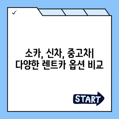 광주시 동구 동명동 렌트카 가격비교 | 리스 | 장기대여 | 1일비용 | 비용 | 소카 | 중고 | 신차 | 1박2일 2024후기