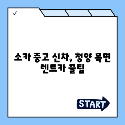 충청남도 청양군 목면 렌트카 가격비교 | 리스 | 장기대여 | 1일비용 | 비용 | 소카 | 중고 | 신차 | 1박2일 2024후기