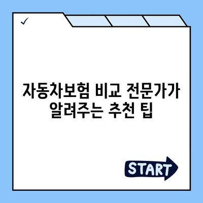 자동차보험 비교, 나에게 딱 맞는 보험 찾기 | 보험료 비교, 보장 분석, 추천 팁