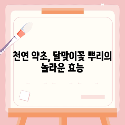 달맞이꽃 뿌리의 놀라운 효능 7가지 | 건강, 피부, 여성 건강, 천연 약초