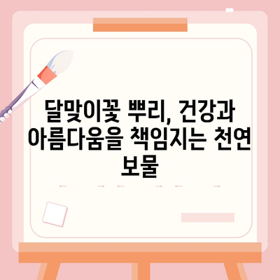 달맞이꽃 뿌리의 놀라운 효능 7가지 | 건강, 피부, 여성 건강, 천연 약초