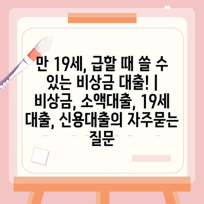 만 19세, 급할 때 쓸 수 있는 비상금 대출! | 비상금, 소액대출, 19세 대출, 신용대출