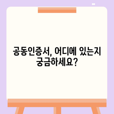 공동인증서 찾기| 컴퓨터 및 모바일 위치 확인 가이드 | 공동인증서, 위치 확인, 설치, 사용