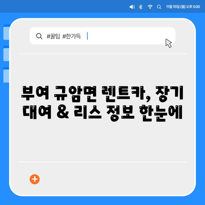 충청남도 부여군 규암면 렌트카 가격비교 | 리스 | 장기대여 | 1일비용 | 비용 | 소카 | 중고 | 신차 | 1박2일 2024후기