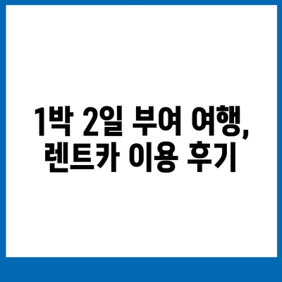 충청남도 부여군 양화면 렌트카 가격비교 | 리스 | 장기대여 | 1일비용 | 비용 | 소카 | 중고 | 신차 | 1박2일 2024후기