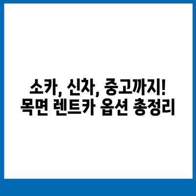 충청남도 청양군 목면 렌트카 가격비교 | 리스 | 장기대여 | 1일비용 | 비용 | 소카 | 중고 | 신차 | 1박2일 2024후기