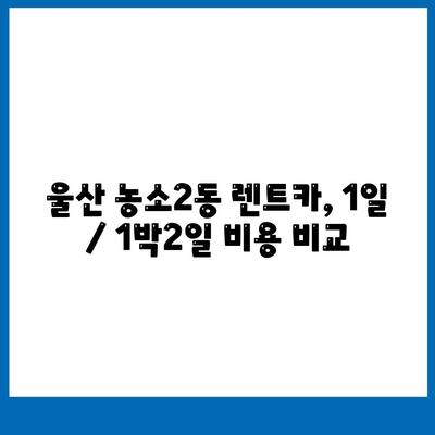 울산시 북구 농소2동 렌트카 가격비교 | 리스 | 장기대여 | 1일비용 | 비용 | 소카 | 중고 | 신차 | 1박2일 2024후기